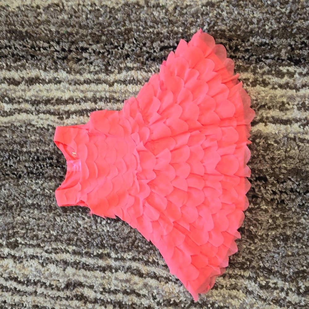 Pink Ruffle Dress Cherokee 18M